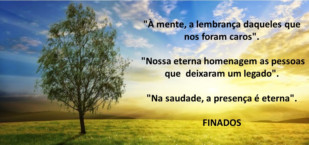 Read more about the article FINADOS